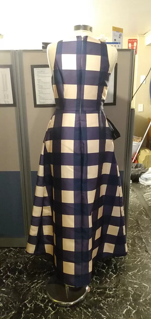 Blue and Blush Gingham Mother of the Bride Dress (Rear)