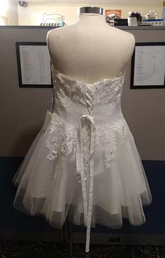 Mini Skirt White Wedding Dress (Rear)